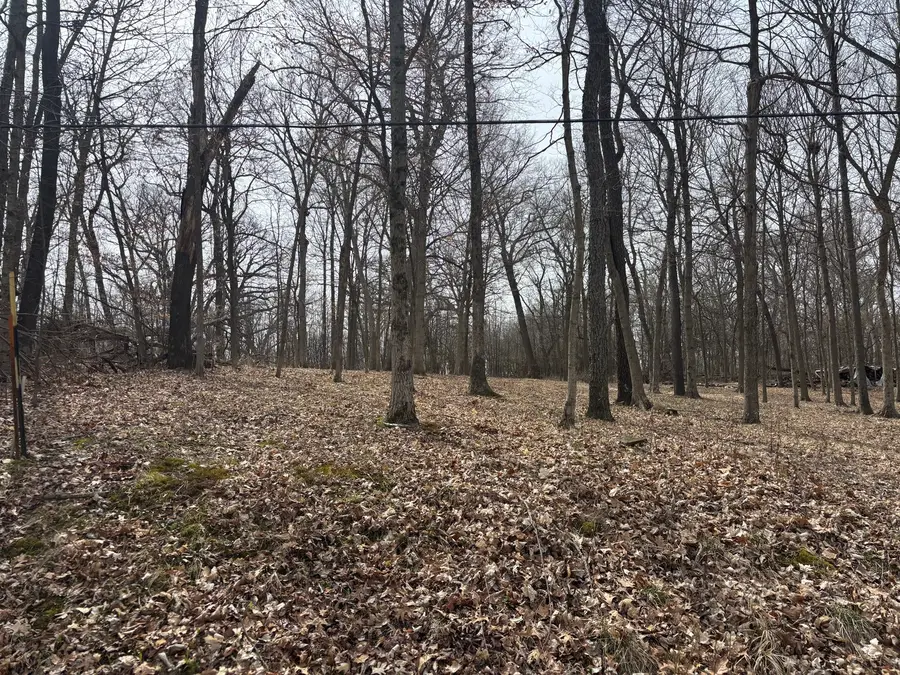 1729/1730/1731 Tanglewood Drive, Varna, IL 61375 - Image #3