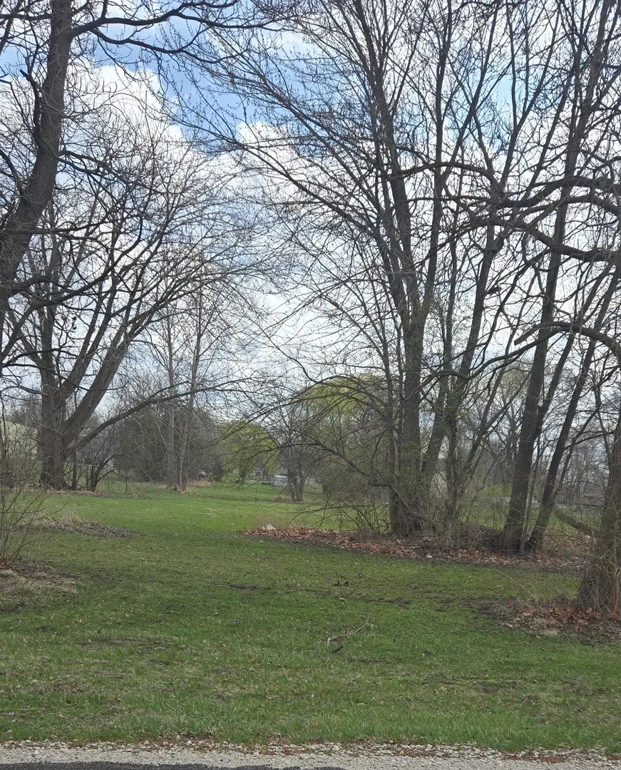 0000 N Mitchell Street, Braceville, IL 60407 - Image #2