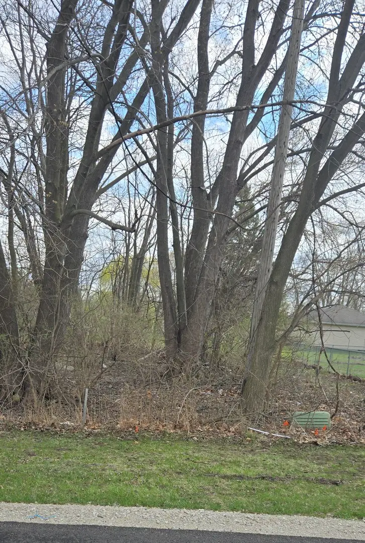 0000 N Mitchell Street, Braceville, IL 60407 - Image #3