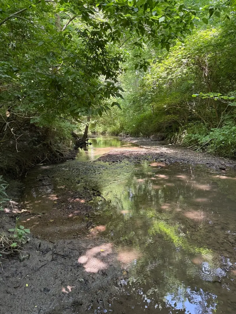 LOT 63 and 78 Cobble Creek Lane, Heyworth, IL 61745 - Image #1