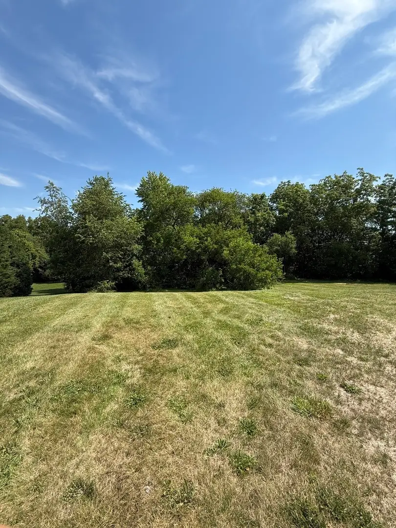 LOT 63 and 78 Cobble Creek Lane, Heyworth, IL 61745 - Image #2