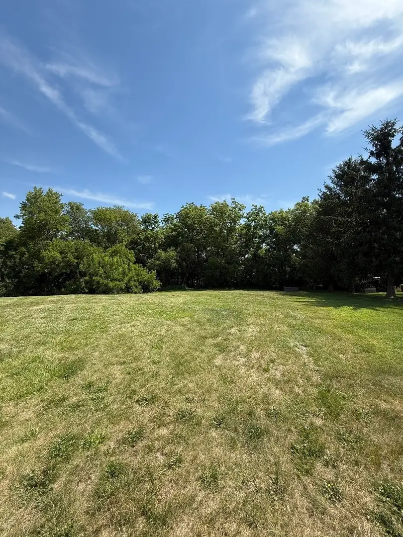 LOT 63 and 78 Cobble Creek Lane, Heyworth, IL 61745 - Image #3
