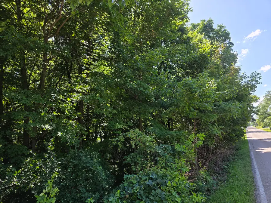 Lot 15 Legion Rd Road, Yorkville, IL 60560 - Image #3