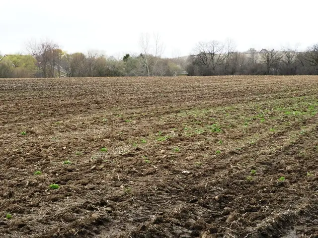 42908 N Lewis Avenue N, Winthrop Harbor, IL 60096 - Image #2