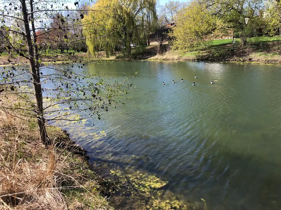 1952 Crenshaw Circle #1952, Vernon Hills, IL 60061 - Image #3