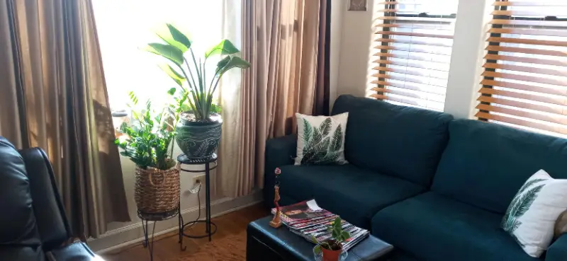 7308 S Yates Boulevard #1, Chicago, IL 60649 - Image #3