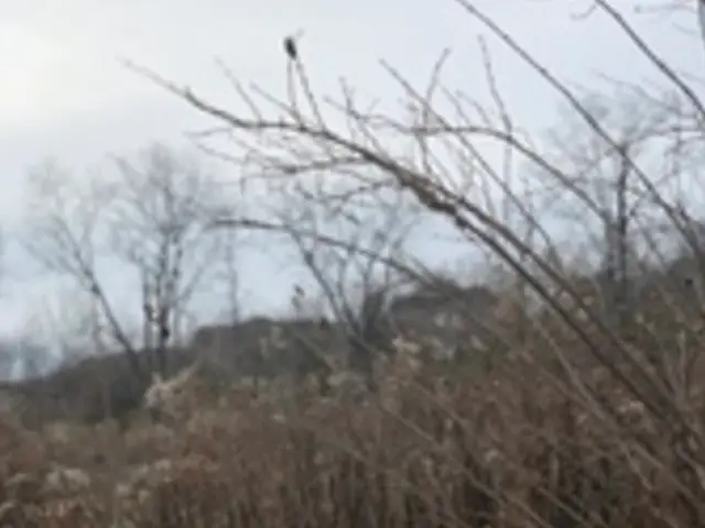 16W415 99th Street, Burr Ridge, IL 60527 - Image #2