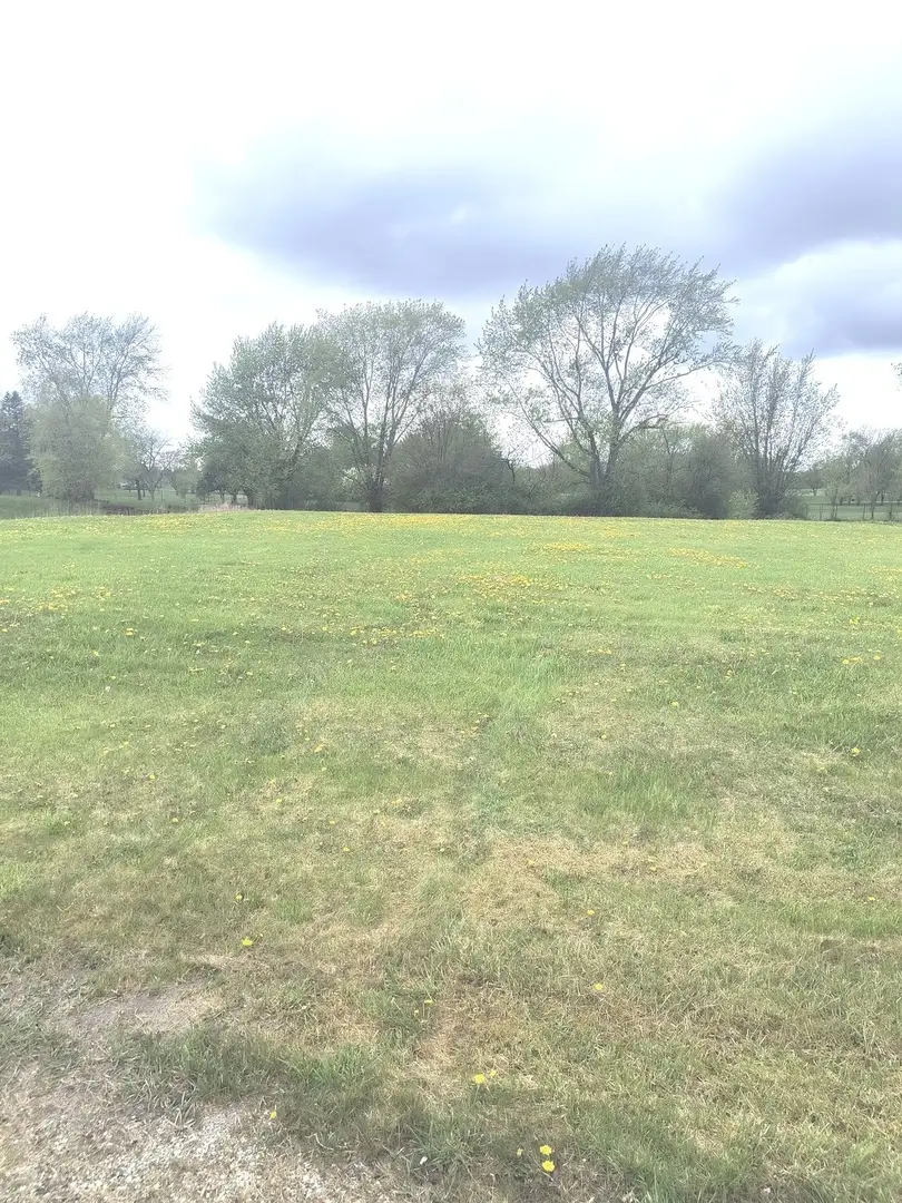 Lot 53 Golfview Drive, Frankfort, IL 60423 - Image #3