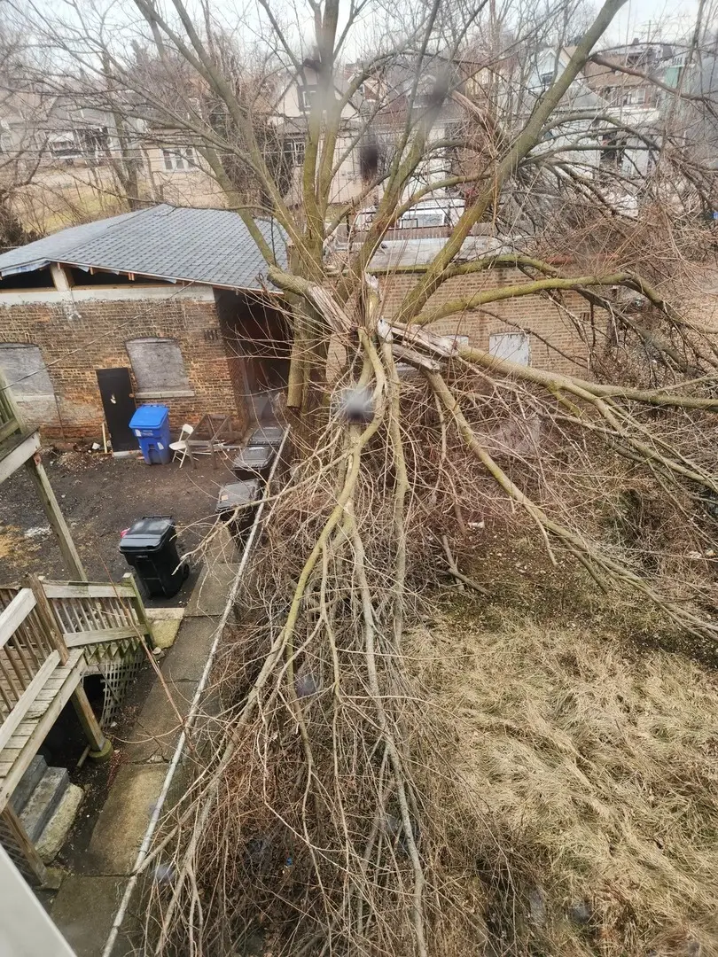 6835 S May Street, Chicago, IL 60621 - Image #3