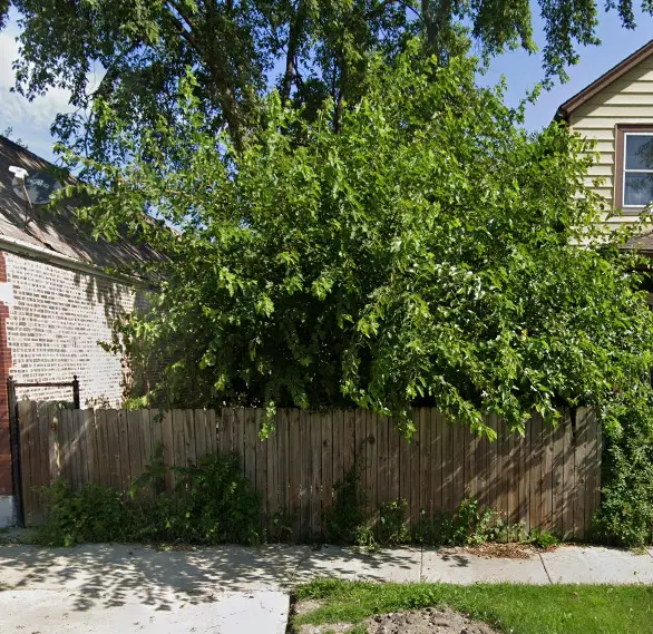 140 E 118th Street, Chicago, IL 60628 - Image #1