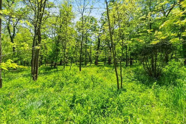 26359 N Hickory Road, Mundelein, IL 60060