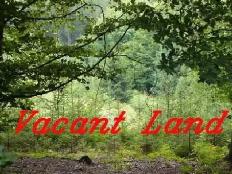 14319 High Road, Lockport, IL 60441 - Image #1