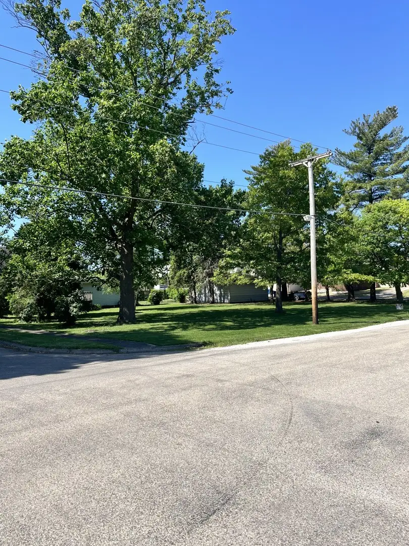 116 N Lasalle Avenue, Ladd, IL 61329 - Image #1