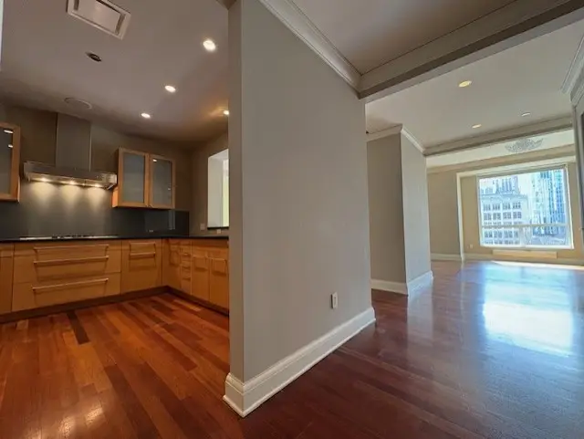 270 E Pearson Street #602, Chicago, IL 60611 - Image #2