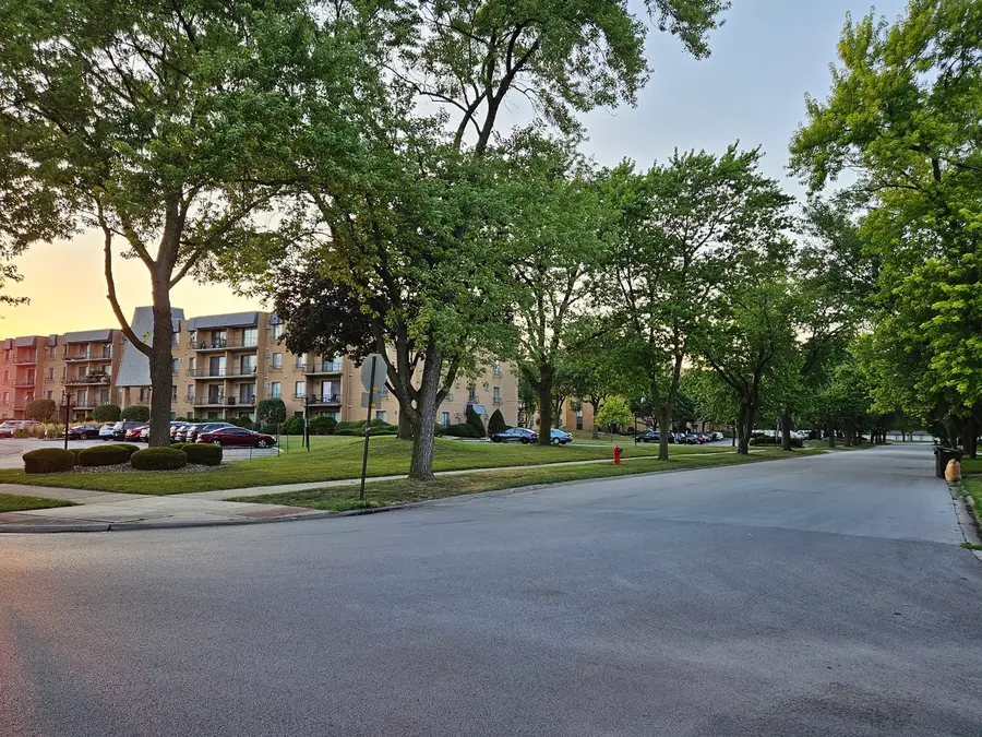 931 W Arquilla Drive #415, Glenwood, IL 60425 - Image #3