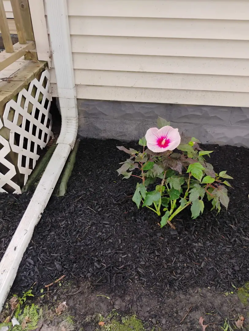 103 W Cherokee Avenue W, Shabbona, IL 60550 - Image #3