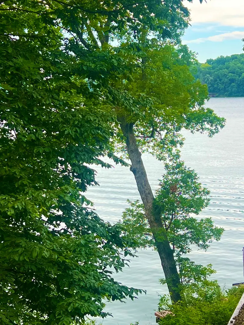 498 Driftwood Court, Varna, IL 61375 - Image #2