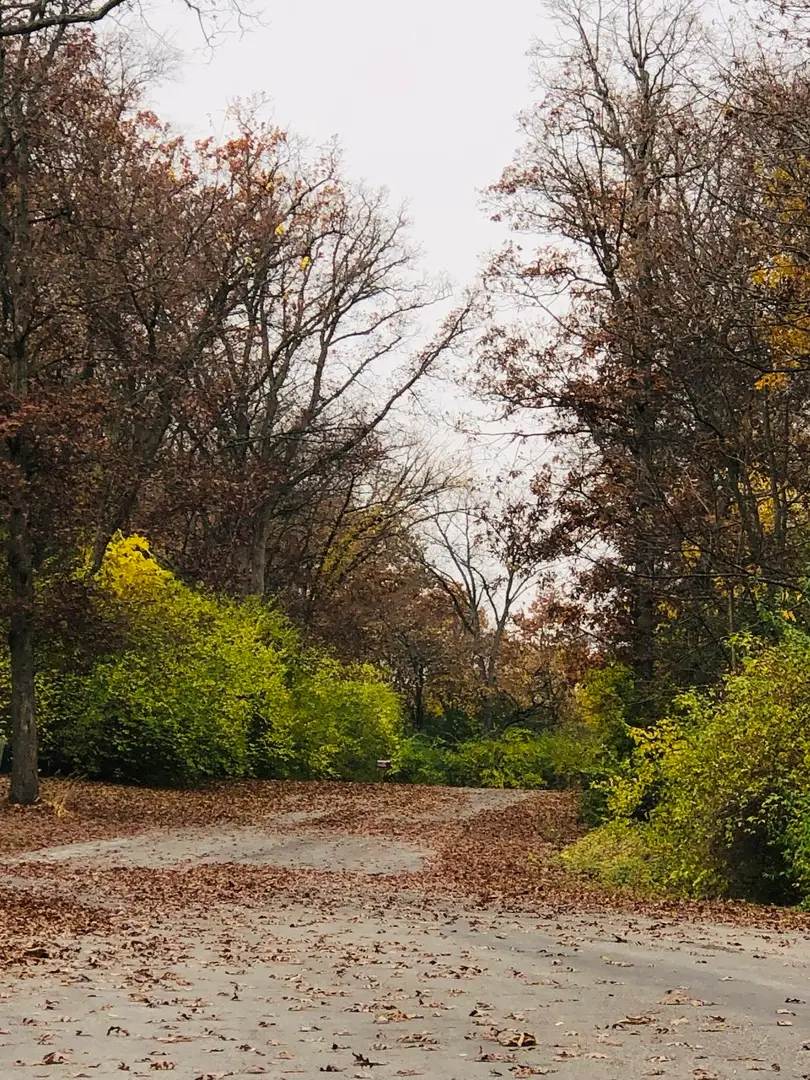 802 Echo (lot 23) Trail, Marengo, IL 60152 - Image #2