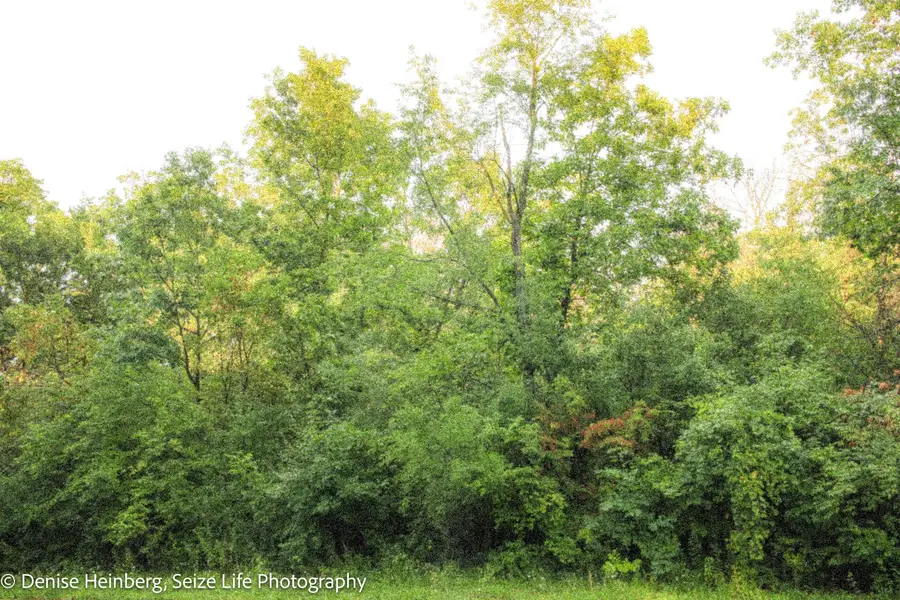 802 Echo (lot 23) Trail, Marengo, IL 60152 - Image #3