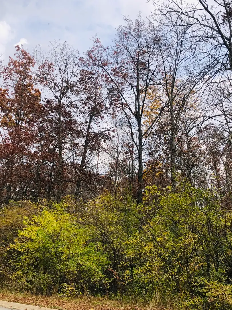 806 Echo (lot 22) Trail, Marengo, IL 60152 - Image #2