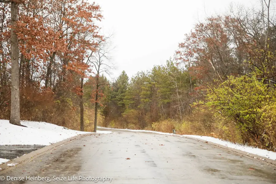 806 Echo (lot 22) Trail, Marengo, IL 60152 - Image #3