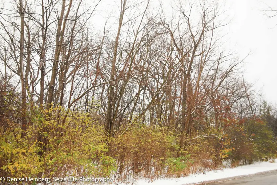 910 Echo (lot 6) Trail, Marengo, IL 60152 - Image #3