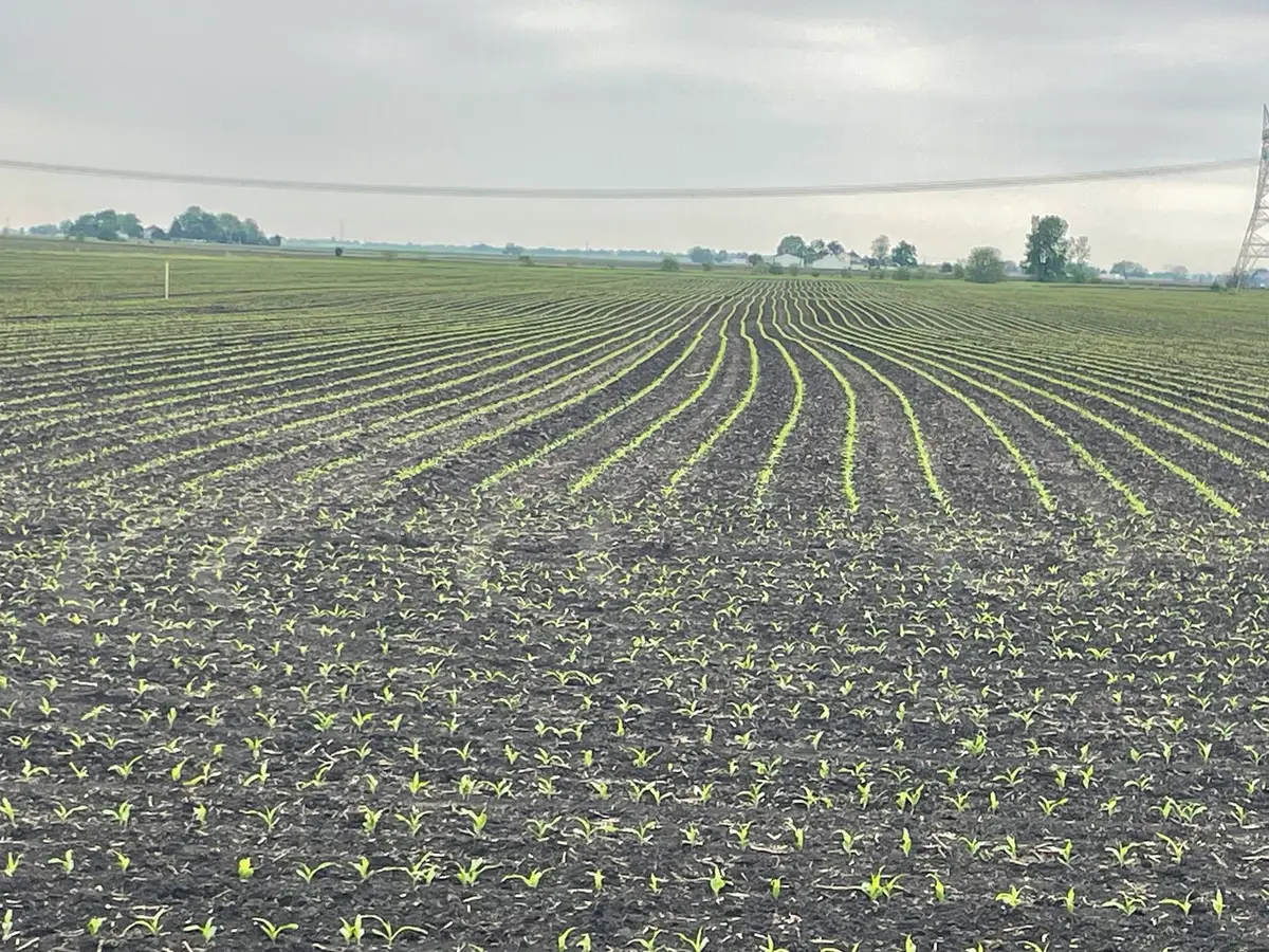 15781 Brisbin Road, Minooka, IL 60447 - Image #1