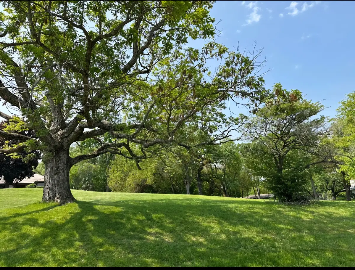 28479 Schooner Lane, Barrington, IL 60010 - Image #1