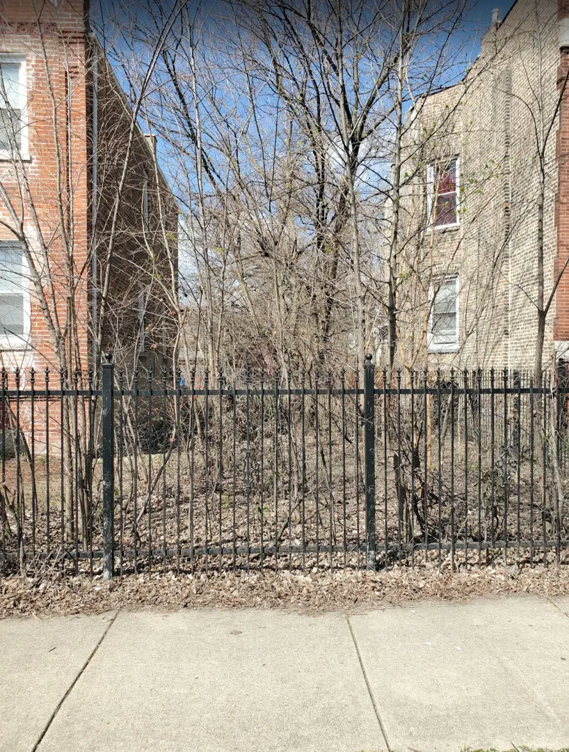 1922 S Christiana Avenue, Chicago, IL 60623 - Image #3