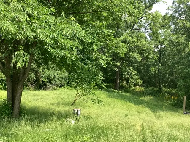 338 Willow Street, New Lenox, IL 60451 - Image #2