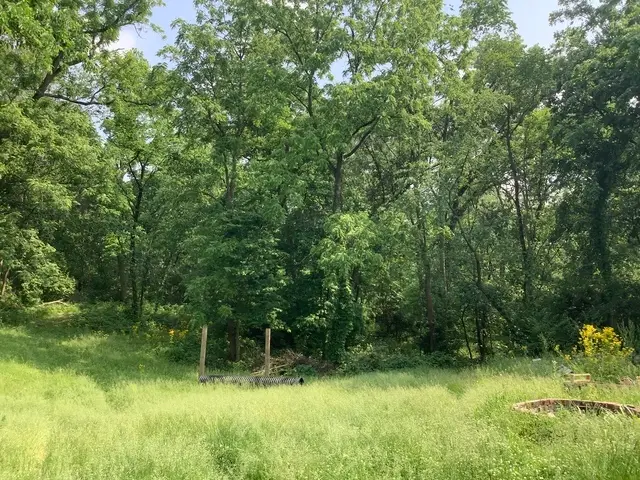 338 Willow Street, New Lenox, IL 60451 - Image #3