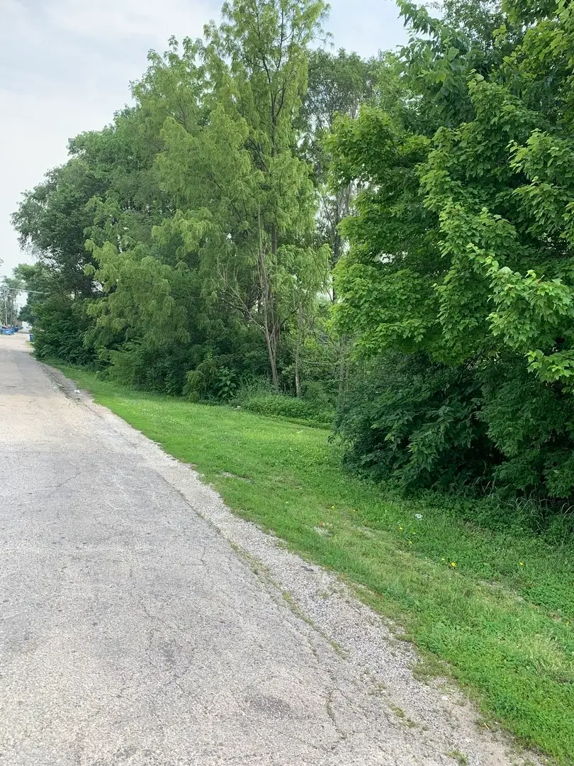 1178 S Washington Avenue, Kankakee, IL 60901 - Image #3