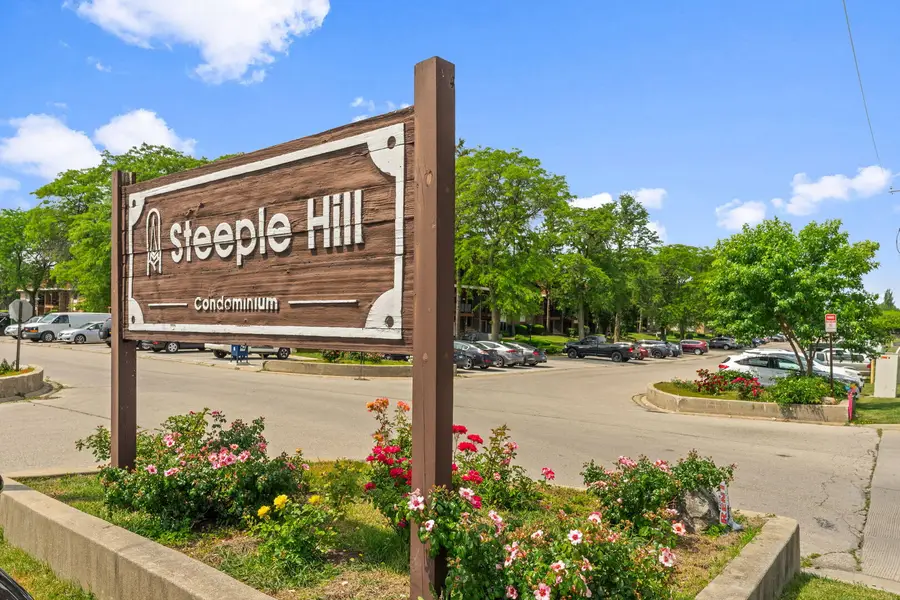 1195 Meadow Lane #213, Hoffman Estates, IL 60169 - Image #2