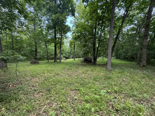 Lot 235 Lake Thunderbird Drive, Tiskilwa, IL 61368