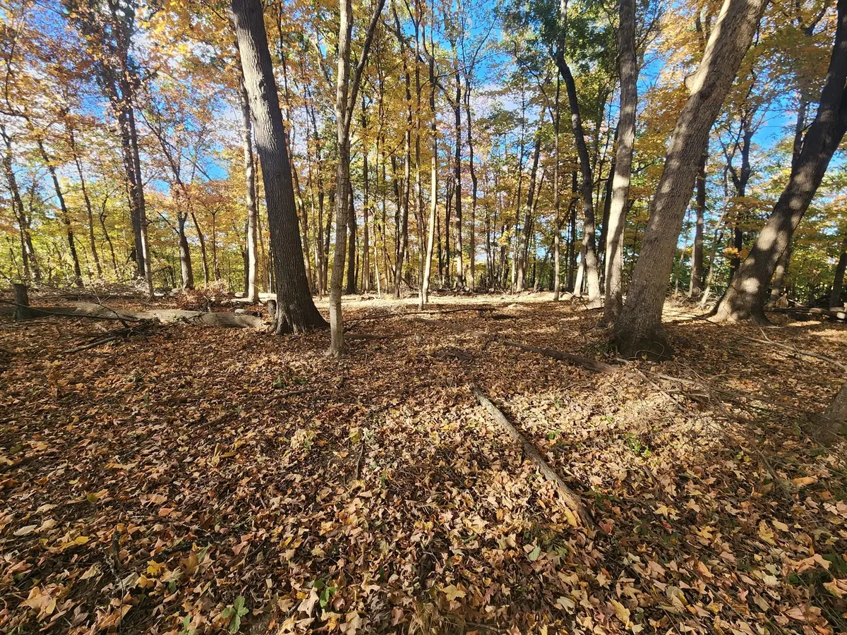 Lot 1783/84 Blueberry Drive, Varna, IL 61375 - Image #1