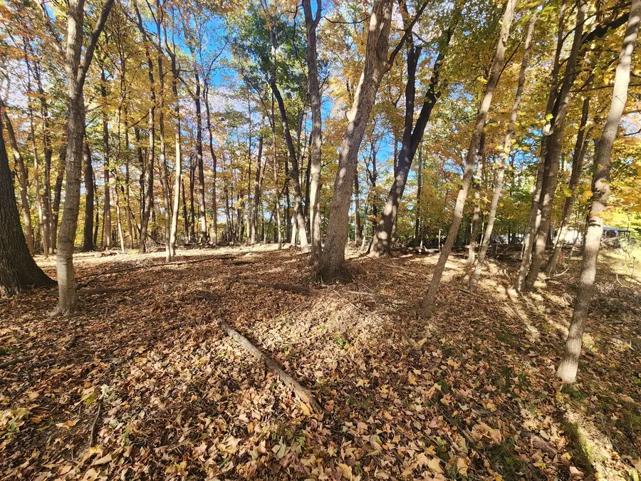 Lot 1783/84 Blueberry Drive, Varna, IL 61375 - Image #2