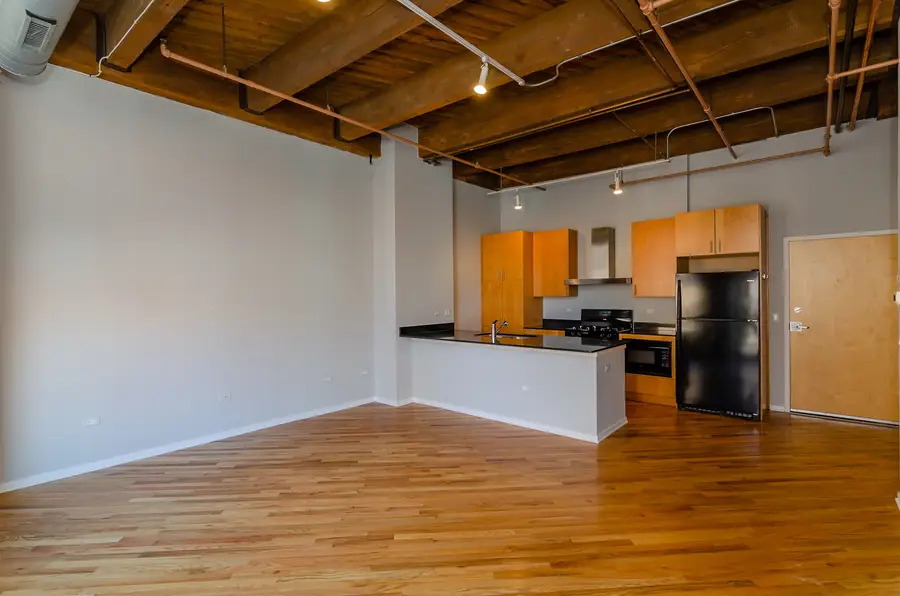 1040 W Adams Street #257, Chicago, IL 60607 - Image #3
