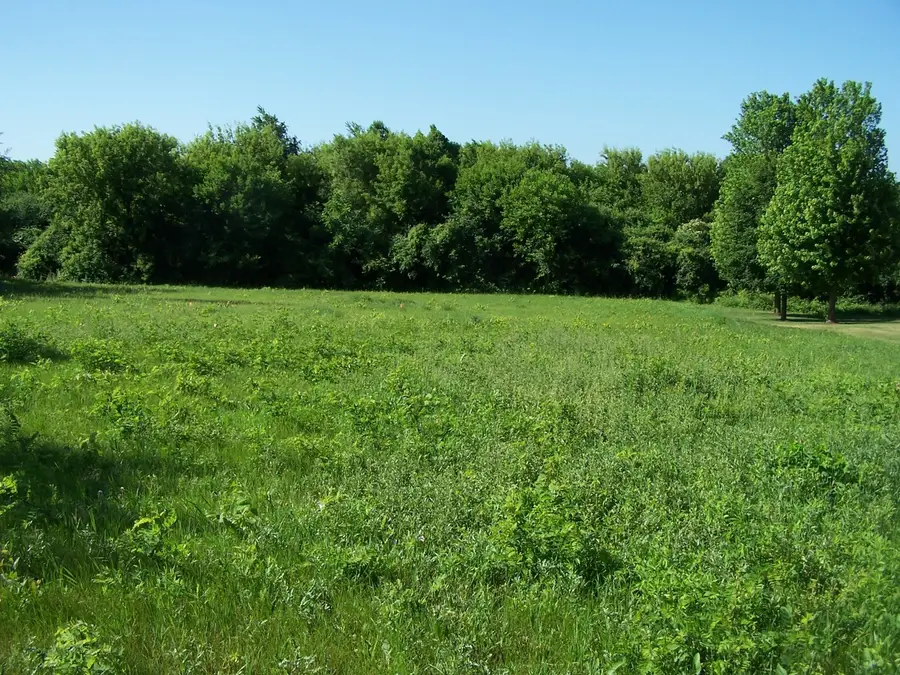 6109 Whiting Drive, McHenry, IL 60050 - Image #2