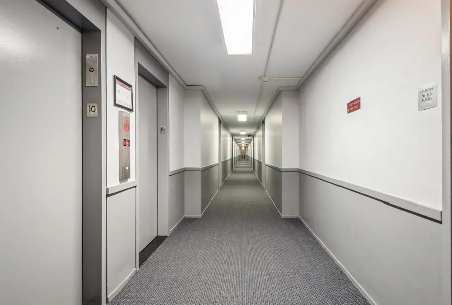 1451 E 55th Street #1030N, Chicago, IL 60615 - Image #2