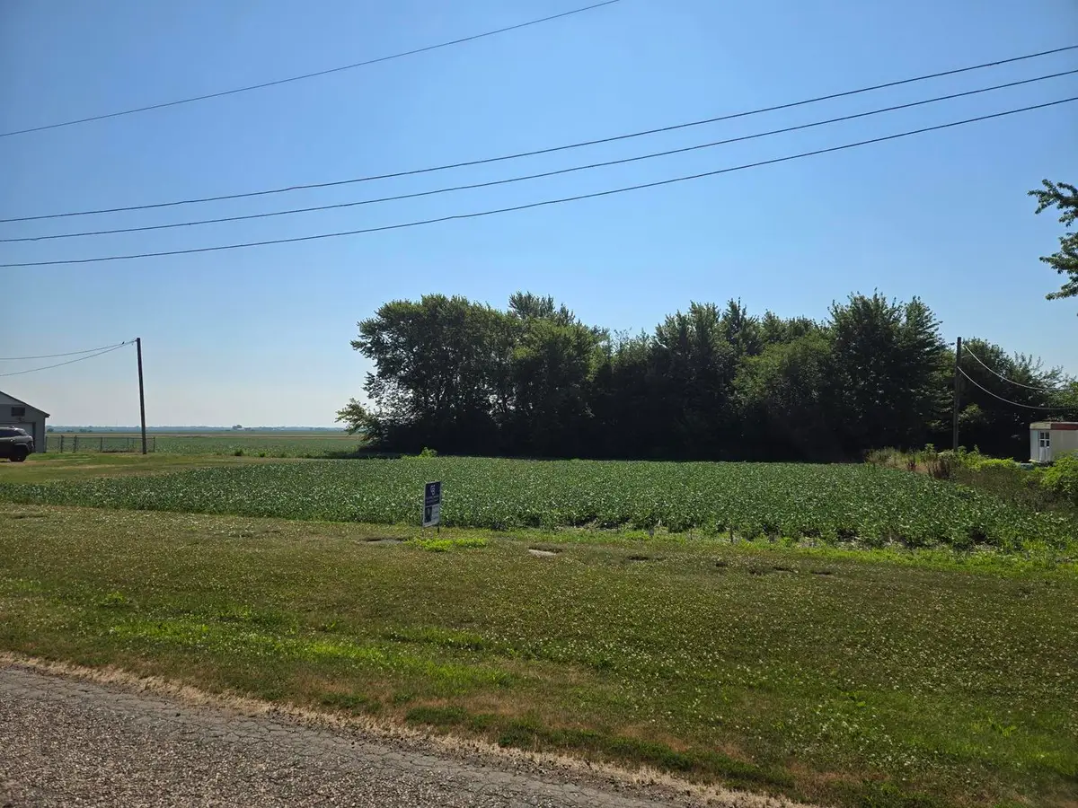 Lots 1-4 Catherine Street, Ludlow, IL 60949 - Image #1