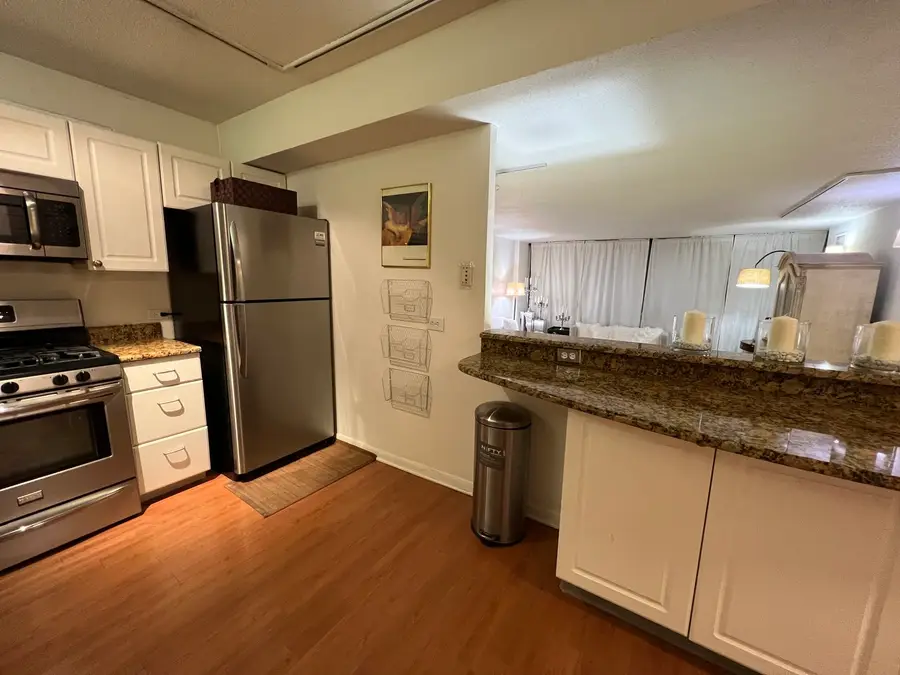 230 E Ontario Street #905, Chicago, IL 60611 - Image #3