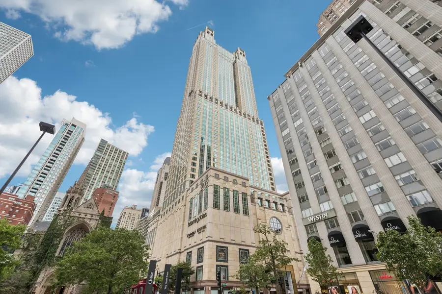 132 E Delaware Place #4803, Chicago, IL 60611 - Image #2