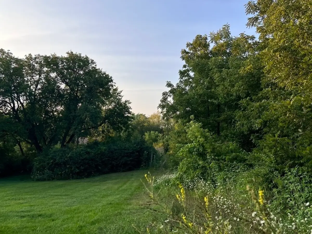 650 George Street, Barrington, IL 60010 - Image #1