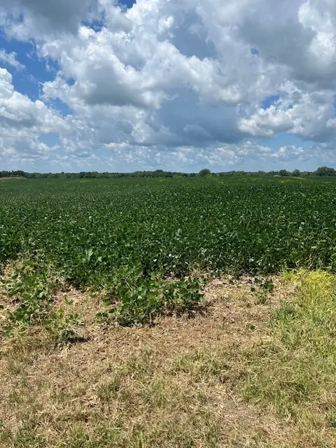 2000 County Road, Varna, IL 61375 - Image #2