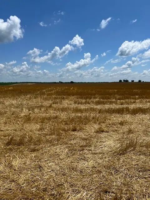 2000 County Road, Varna, IL 61375 - Image #1