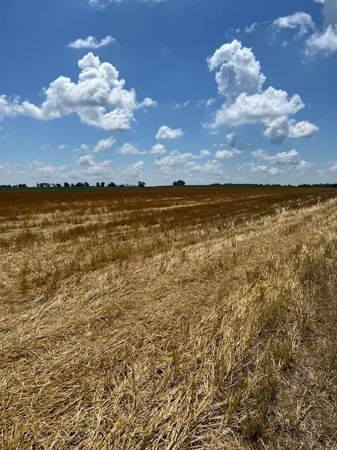 2000 County Road, Varna, IL 61375 - Image #3