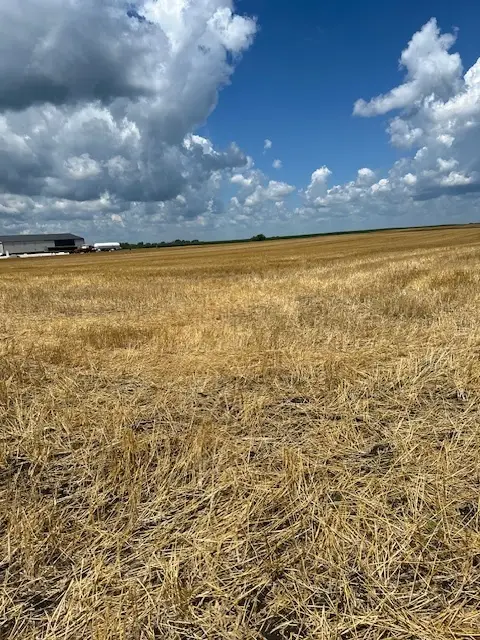 17 Route Road, Varna, IL 61375 - Image #2