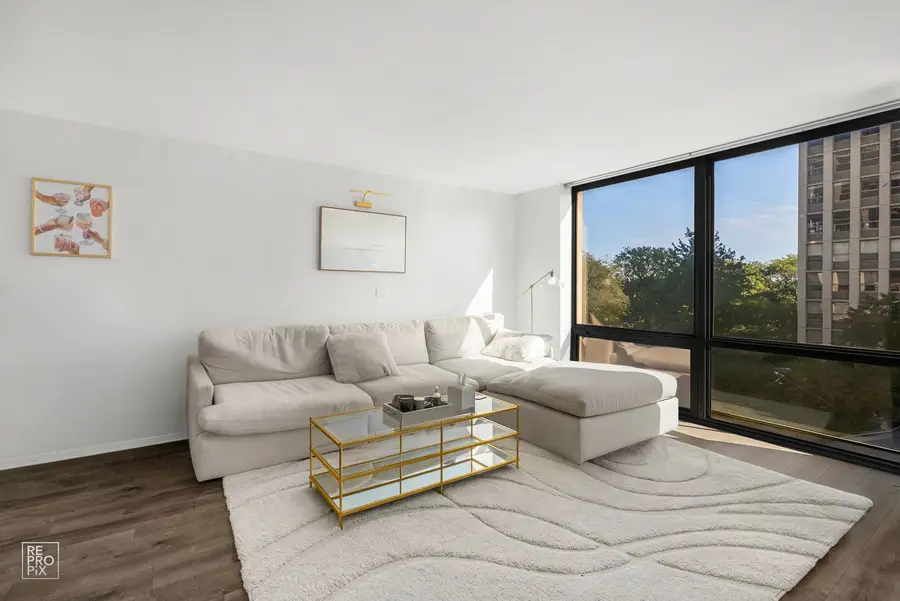 2650 N Lakeview Avenue #404, Chicago, IL 60614 - Image #2