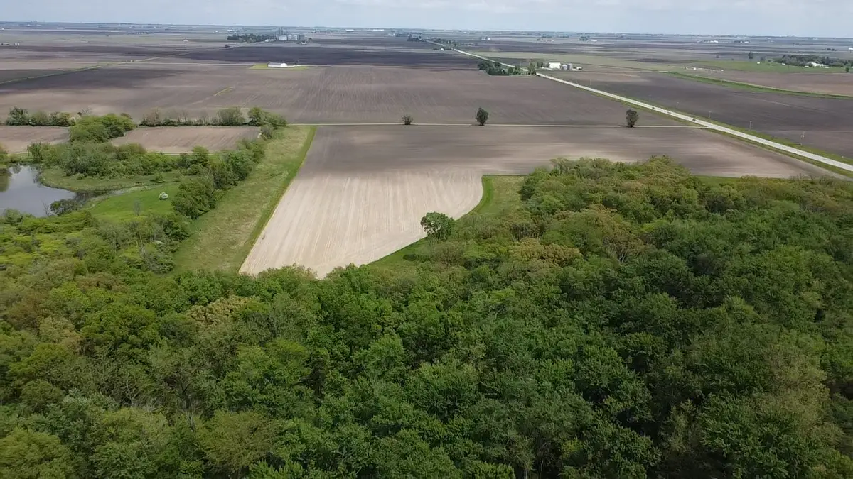 Lot C Highway 136 Highway, Fisher, IL 61843 - Image #1