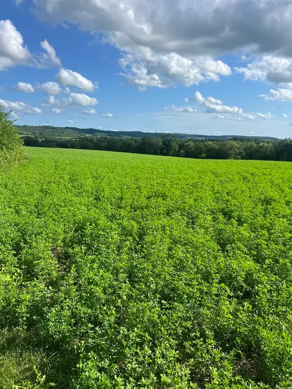 000 S Rush Creek Road, Stockton, IL 61085